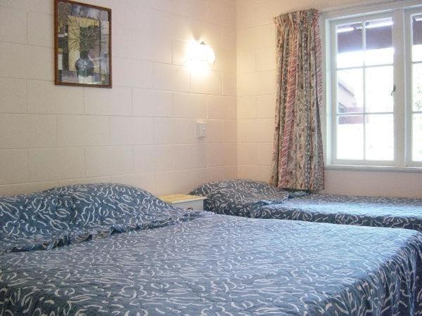 Browns Bay Olive Tree Motel & Apartment Okura Bush Kamer foto