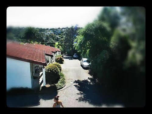 Browns Bay Olive Tree Motel & Apartment Okura Bush Buitenkant foto